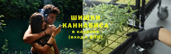скорость Богданович