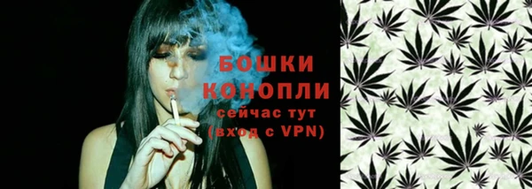 ECSTASY Богородск