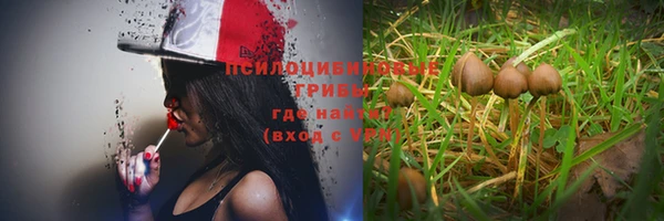 скорость Богданович