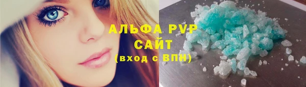 ECSTASY Богородск