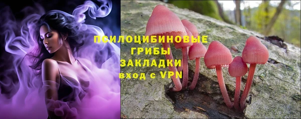 скорость Богданович