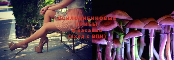 apvp Семикаракорск