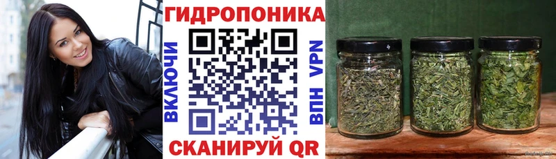 мориарти телеграм  Старица  МАРИХУАНА планчик 